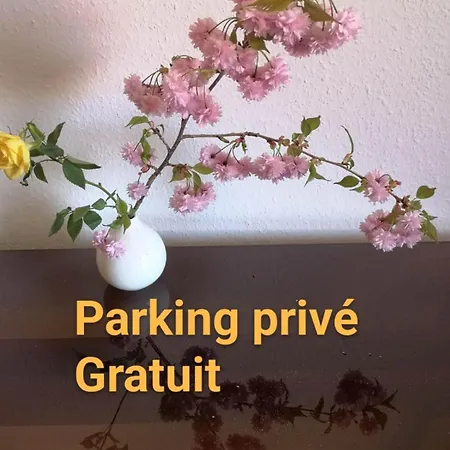 Appartement Zen Strasbourg Center Avec Parking Exterior photo